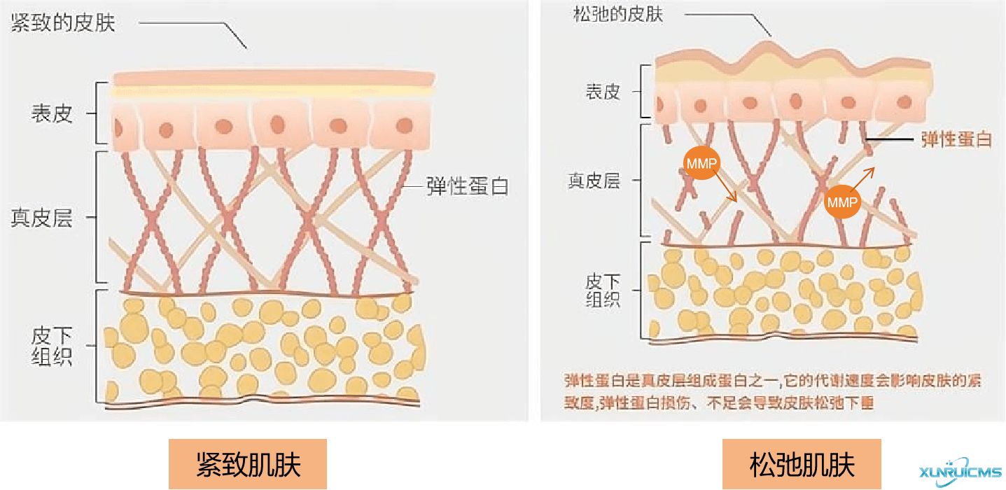 微信圖片_20240927163135