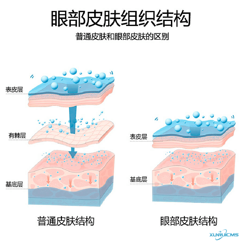 微信圖片_20241022100739