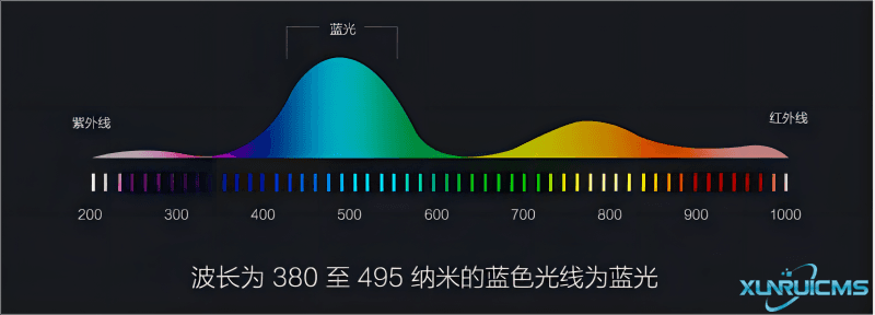 微信圖片_20241022112700