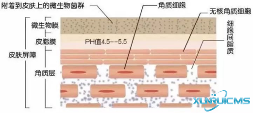 微信圖片_20241022151039