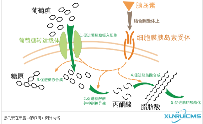 微信圖片_20241023143030