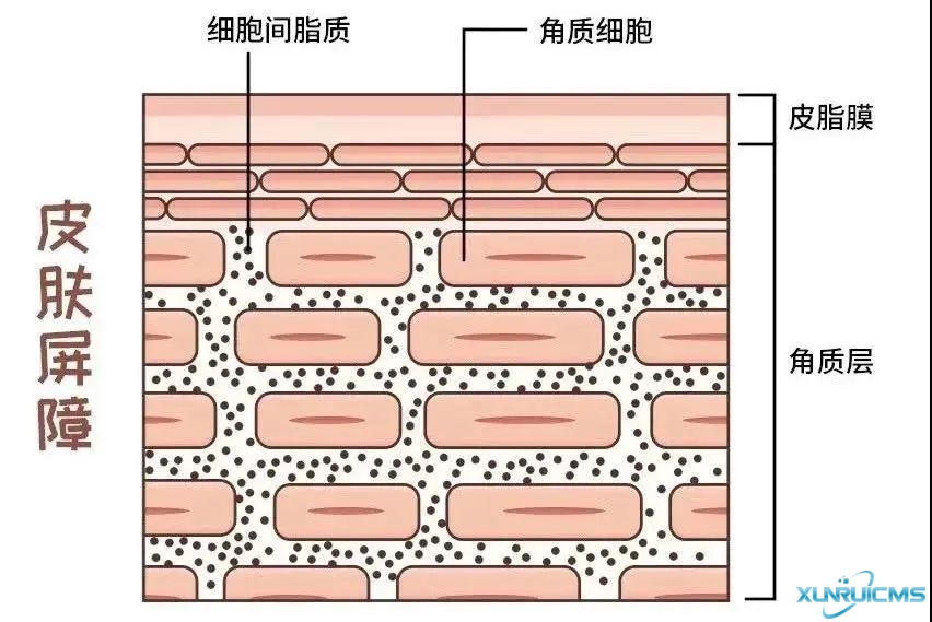 微信圖片_20241024100636