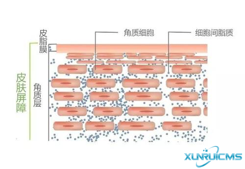 微信圖片_20241024173100