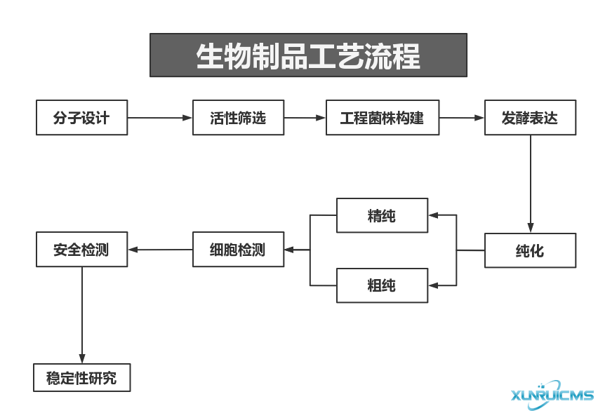 微信圖片_20241030101509