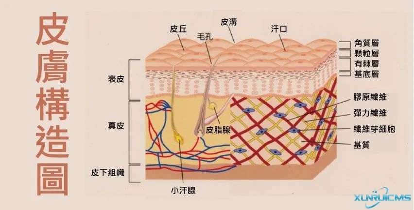 微信圖片_20241101134439